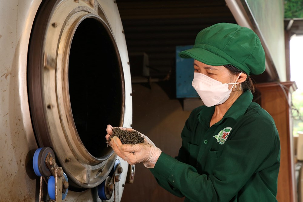 Thái Nguyên thúc đẩy xây dựng nông thôn mới gắn với giảm nghèo bền vững - ảnh 1