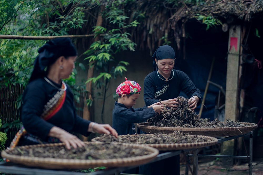“Đòn bẩy” giúp Thái Nguyên thúc đẩy giảm nghèo bền vững - ảnh 1