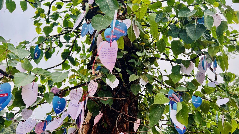 Bài cuối - Khi hạnh phúc là đích đến của sự phát triển - ảnh 5