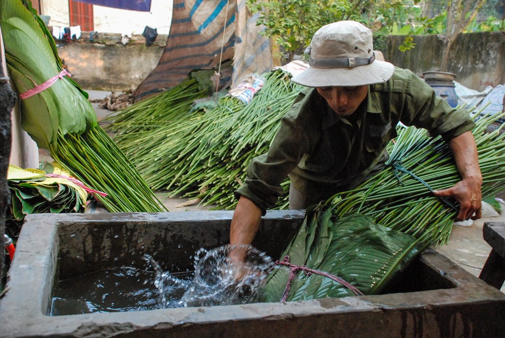 Làng lá dong Tràng Cát tất bật vụ Tết - ảnh 9