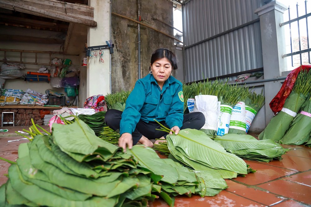 Làng lá dong Tràng Cát tất bật vụ Tết - ảnh 7