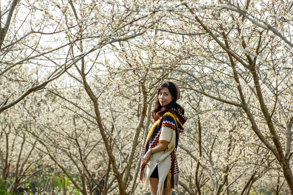 “Lạc lối” trong sắc hoa mận của cao nguyên Bắc Hà - ảnh 9