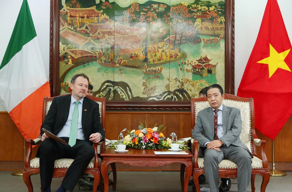 Việt Nam – Ireland tăng cường hợp tác VHTTDL - ảnh 1