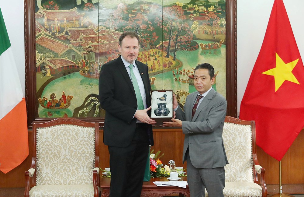 Việt Nam – Ireland tăng cường hợp tác VHTTDL - ảnh 3