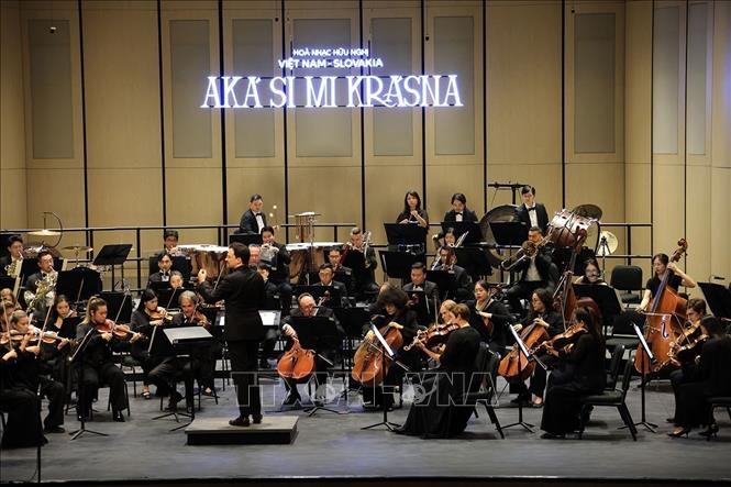 Tổng Bí thư, Chủ tịch nước và Thủ tướng Slovakia dự hòa nhạc hữu nghị Việt Nam - Slovakia - ảnh 3