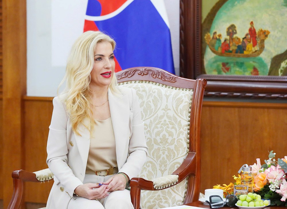 Việt Nam – Slovakia: Thúc đẩy hợp tác trong lĩnh vực văn hóa - ảnh 4