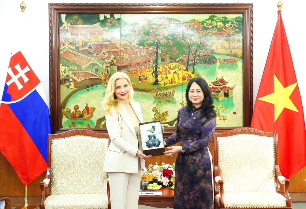 Việt Nam – Slovakia: Thúc đẩy hợp tác trong lĩnh vực văn hóa - ảnh 5
