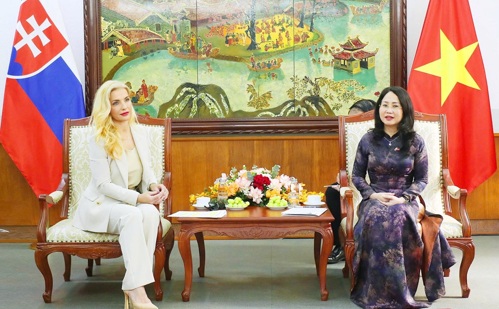 Việt Nam – Slovakia: Thúc đẩy hợp tác trong lĩnh vực văn hóa - ảnh 1
