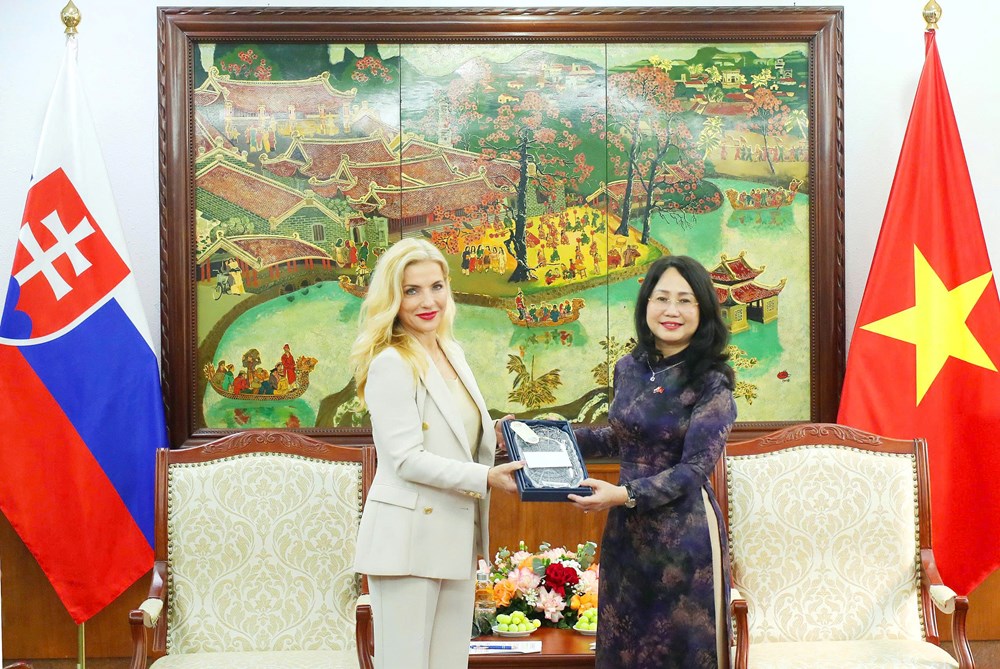 Việt Nam – Slovakia: Thúc đẩy hợp tác trong lĩnh vực văn hóa - ảnh 6