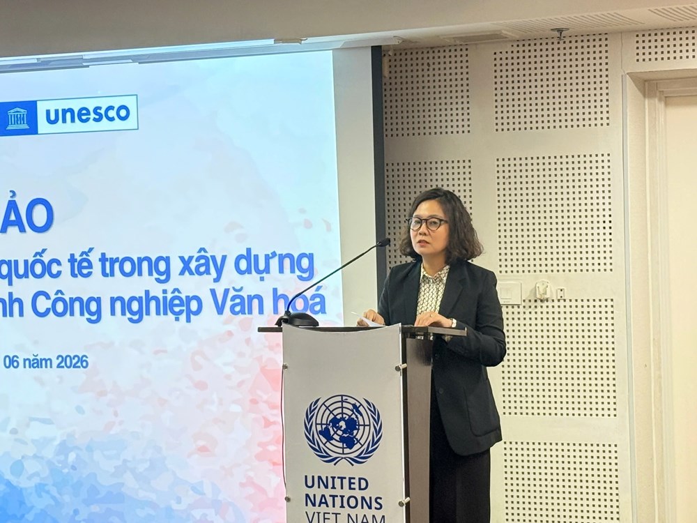 Hà Nội: Học tập kinh nghiệm quốc tế trong xây dựng Bộ chỉ tiêu thống kê các ngành CNVH - ảnh 1