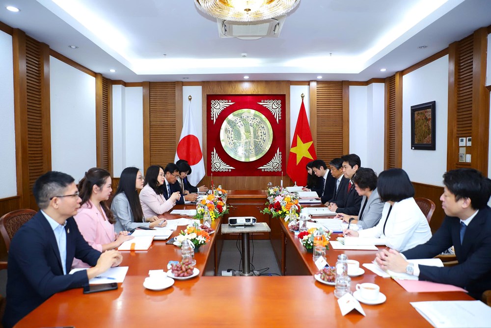 Việt Nam - Nhật Bản tăng cường hợp tác văn hóa, thể thao và bảo vệ bản quyền - ảnh 5