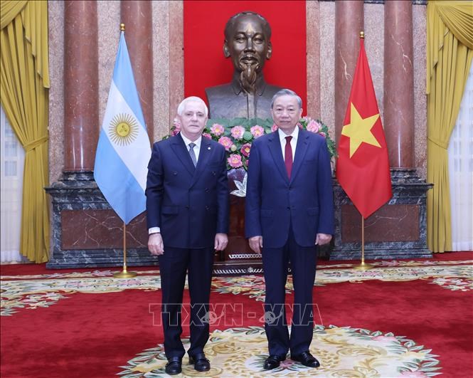 Tổng Bí thư, Chủ tịch nước Tô Lâm tiếp Đại sứ các nước trình Quốc thư - ảnh 2