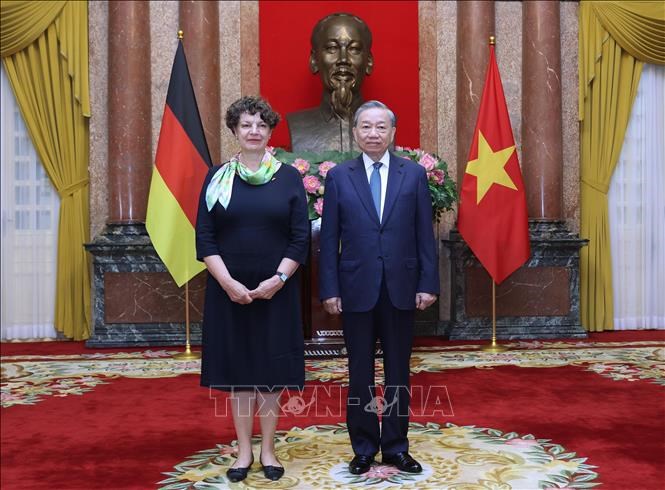 Tổng Bí thư, Chủ tịch nước Tô Lâm tiếp Đại sứ các nước trình Quốc thư - ảnh 6