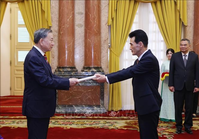 Tổng Bí thư, Chủ tịch nước Tô Lâm tiếp Đại sứ các nước trình Quốc thư - ảnh 7