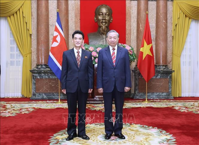 Tổng Bí thư, Chủ tịch nước Tô Lâm tiếp Đại sứ các nước trình Quốc thư - ảnh 8