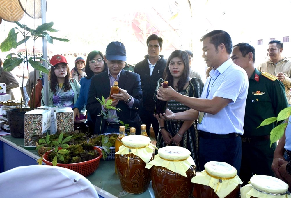 Xúc tiến du lịch khu vực Tây Nguyên nhân dịp tổ chức Festival sâm Ngọc Linh - Kon Tum lần thứ Nhất, năm 2024 - ảnh 1