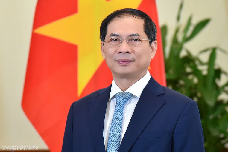 Bộ trưởng Bộ Ngoại giao Bùi Thanh Sơn được phê chuẩn bổ nhiệm giữ chức Phó Thủ tướng Chính phủ - ảnh 1