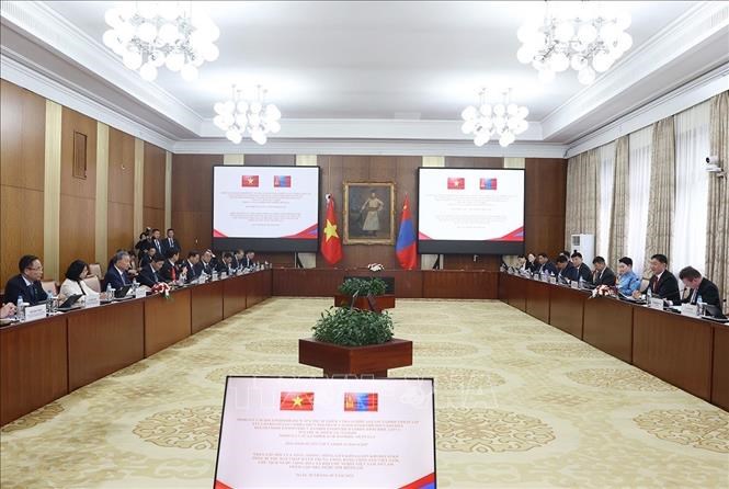 Tổng Bí thư, Chủ tịch nước Tô Lâm hội đàm với Tổng thống Mông Cổ - ảnh 4