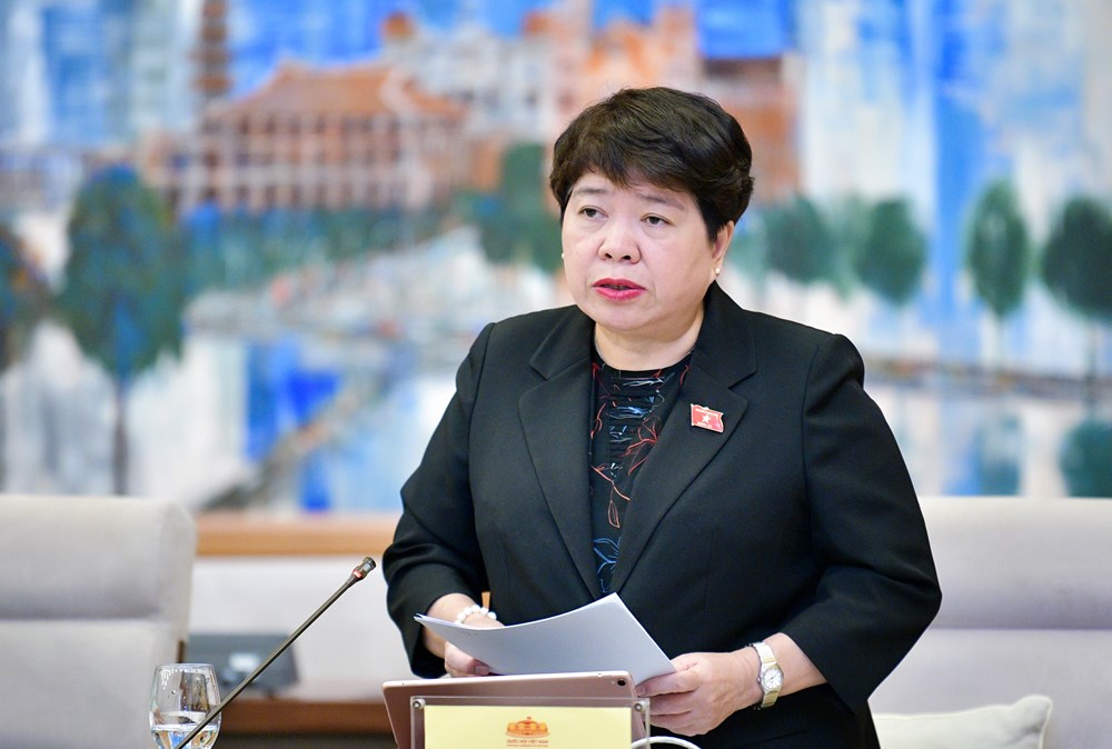 Thường vụ Quốc hội cho ý kiến về Chương trình mục tiêu quốc gia phòng, chống ma túy - ảnh 4