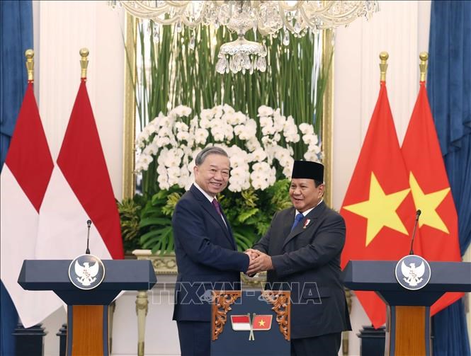 Việt Nam – Indonesia nâng cấp lên quan hệ Đối tác Chiến lược toàn diện - ảnh 2