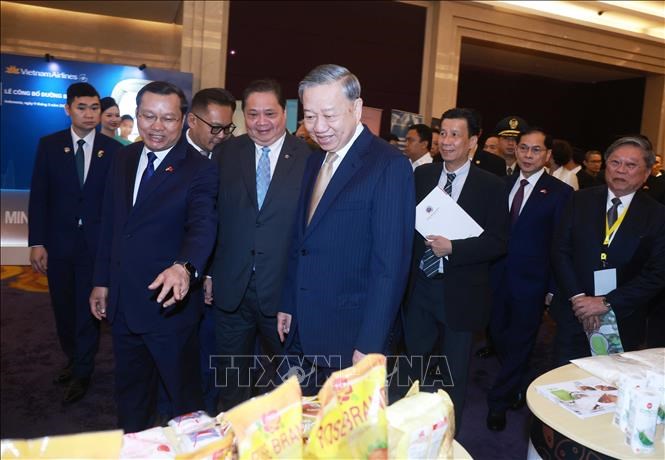 Tổng Bí thư Tô Lâm dự Tọa đàm doanh nghiệp Việt Nam và Indonesia - ảnh 4