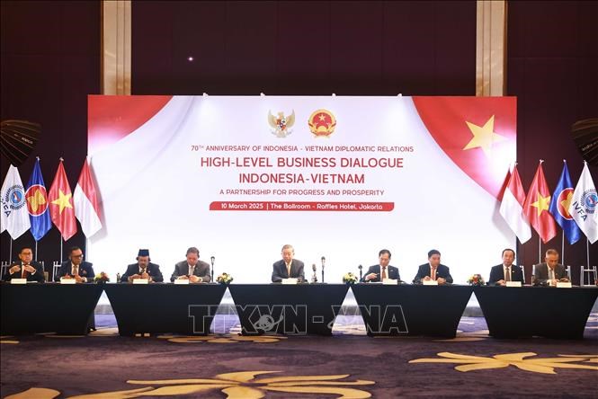 Tổng Bí thư Tô Lâm dự Tọa đàm doanh nghiệp Việt Nam và Indonesia - ảnh 1