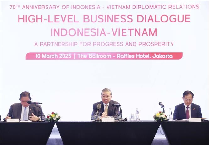 Tổng Bí thư Tô Lâm dự Tọa đàm doanh nghiệp Việt Nam và Indonesia - ảnh 2