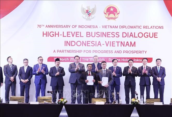 Tổng Bí thư Tô Lâm dự Tọa đàm doanh nghiệp Việt Nam và Indonesia - ảnh 5