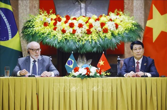 Chủ tịch nước Lương Cường hội đàm với Tổng thống Brazil - ảnh 1