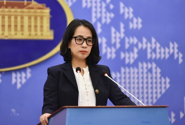Việt Nam phản đối các hoạt động vi phạm chủ quyền ở quần đảo Trường Sa - ảnh 1