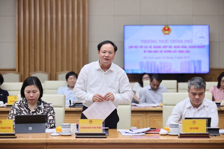 Thủ tướng yêu cầu khẩn trương ban hành chính sách đánh thuế bất động sản đối với đất, nhà ở không sử dụng - ảnh 2