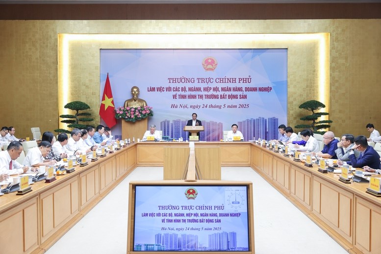 Thủ tướng yêu cầu khẩn trương ban hành chính sách đánh thuế bất động sản đối với đất, nhà ở không sử dụng - ảnh 1