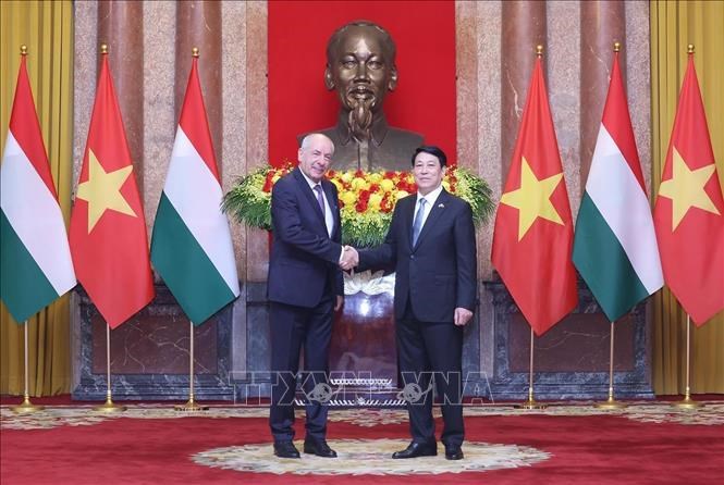 Chủ tịch nước Lương Cường chủ trì lễ đón chính thức Tổng thống Hungary - ảnh 4