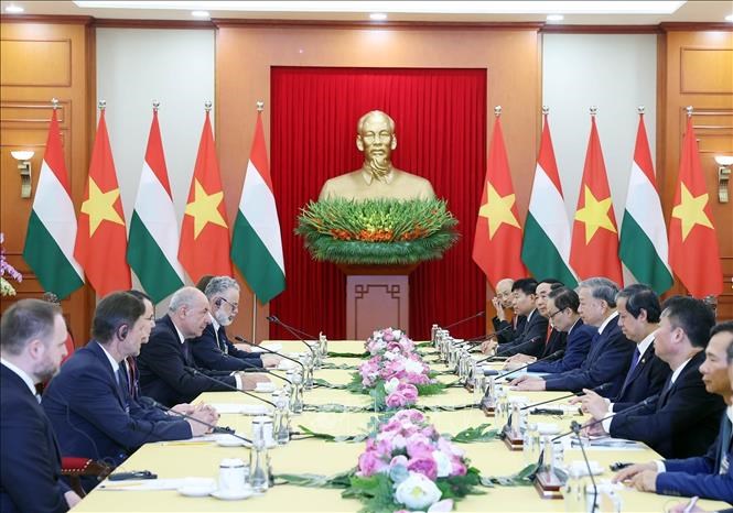 Tổng Bí thư Tô Lâm hội kiến Tổng thống Hungary Sulyok Tamás - ảnh 2