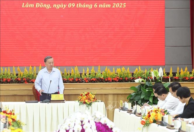 Tỉnh Lâm Đồng mới khẩn trương xây dựng lại quy hoạch tổng thể phát triển kinh tế - xã hội giai đoạn mới - ảnh 2