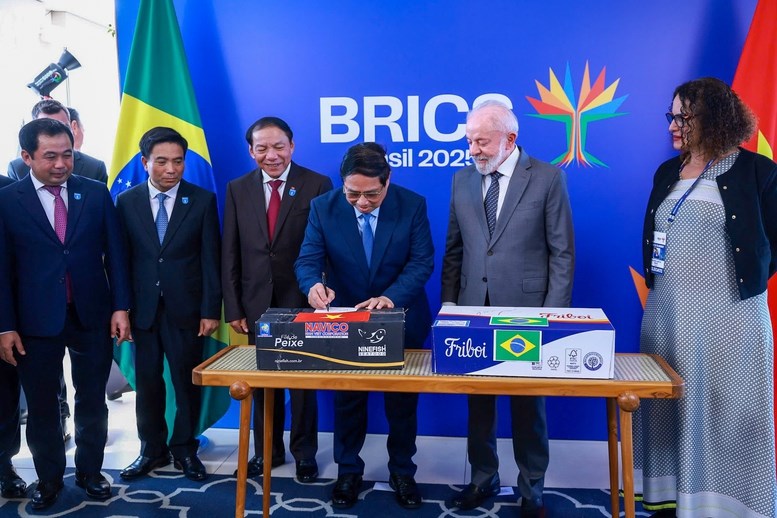 Thủ tướng Phạm Minh Chính hội đàm với Tổng thống Brazil - ảnh 3