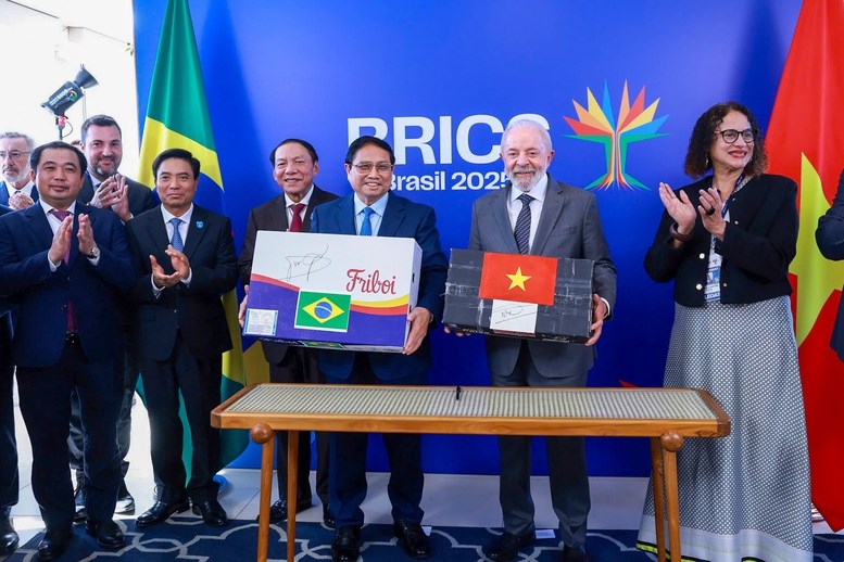 Thủ tướng Phạm Minh Chính hội đàm với Tổng thống Brazil - ảnh 4