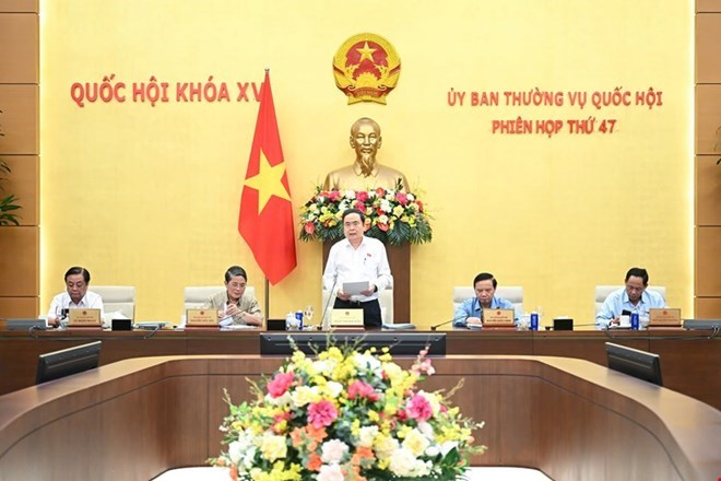 Xem xét, quyết định nhiều nội dung quan trọng - ảnh 1