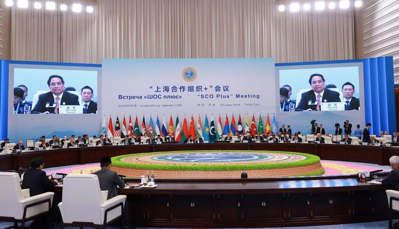 Thủ tướng Phạm Minh Chính gặp Tổng thống Nga Vladimir Putin - ảnh 4