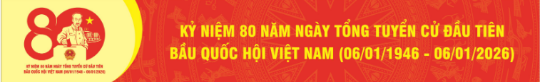 Mẫu biểu trưng, bộ nhận diện chính thức kỷ niệm 80 năm Ngày Tổng tuyển cử đầu tiên bầu Quốc hội Việt Nam - ảnh 3