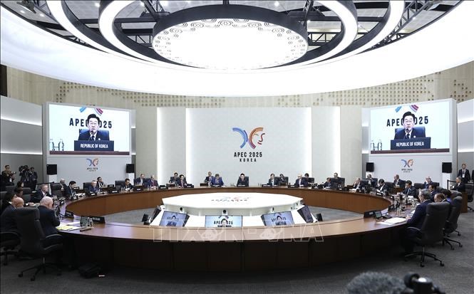 Chủ tịch nước Lương Cường đề xuất 5 định hướng hợp tác - ảnh 1