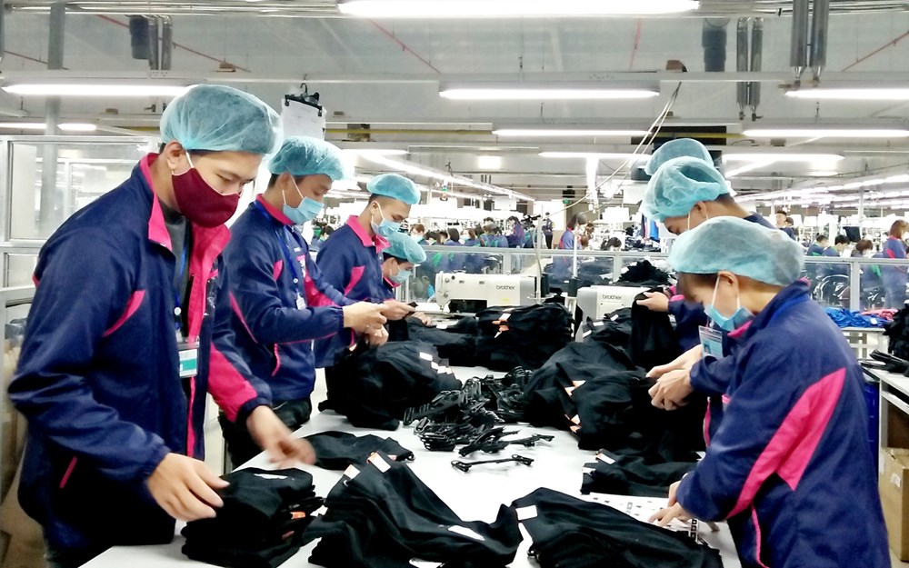 Từ 1.1.2026, tăng lương tối thiểu vùng từ 250.000 đồng - 350.000 đồng/tháng - ảnh 1