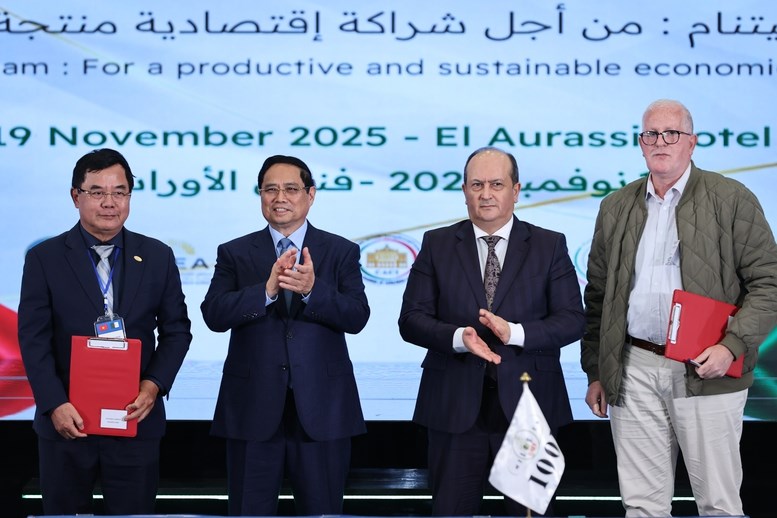 Thủ tướng Phạm Minh Chính và Thủ tướng Algeria cùng dự Diễn đàn kinh tế Việt Nam - Algeria - ảnh 5