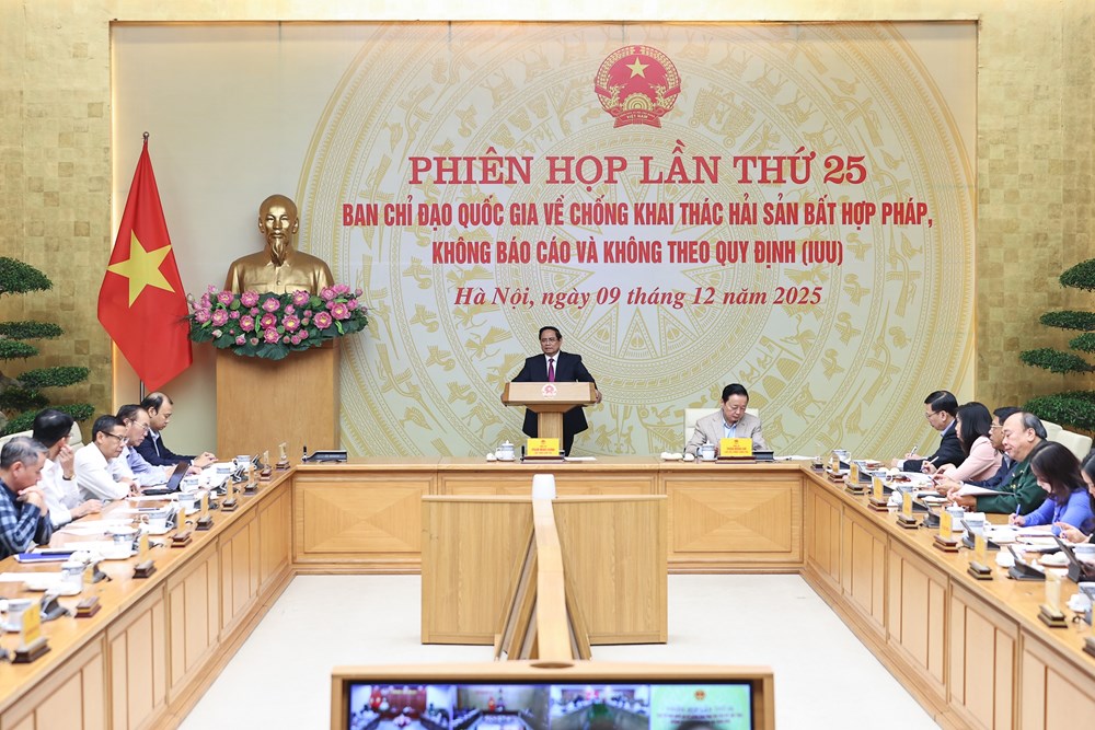 Vừa chống khai thác IUU, vừa phát triển nghề cá bền vững - ảnh 1