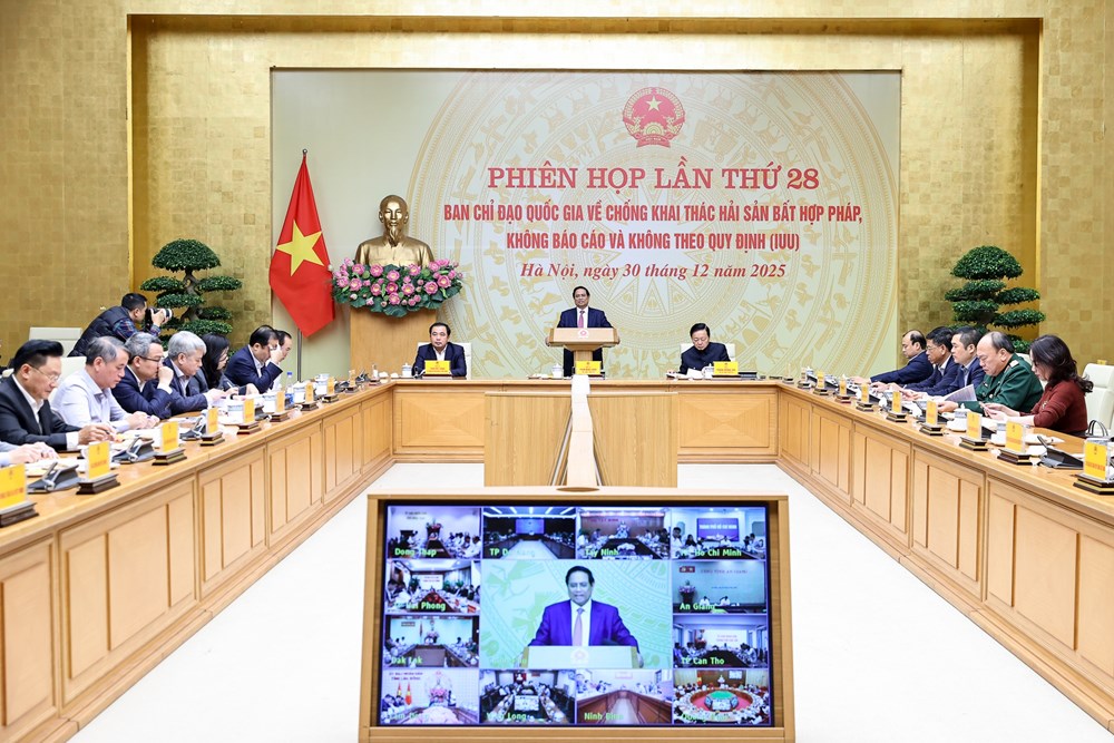 Thủ tướng: Tuyệt đối không báo cáo "đã xử lý 100%" chống khai thác IUU khi thực tế chưa xử lý dứt điểm  - ảnh 1