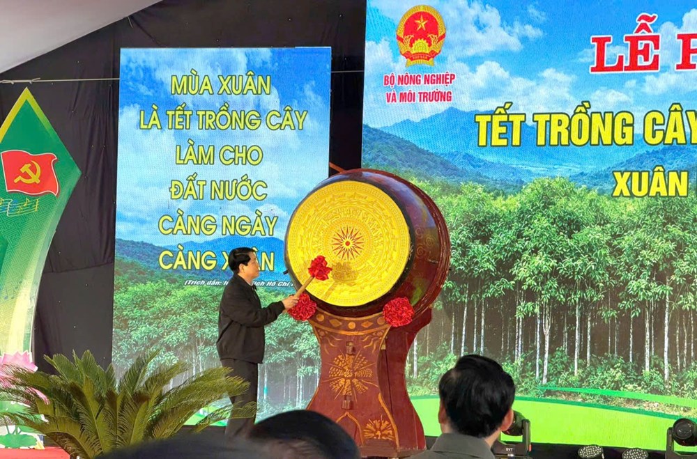 Chủ tịch nước dự lễ phát động Tết trồng cây năm 2026  - ảnh 2