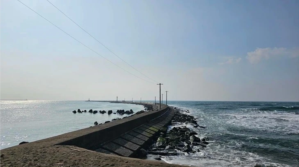 8 lao động Việt Nam gặp nạn do sóng lớn tại Nhật Bản, 1 người tử vong, 3 người mất tích - ảnh 1