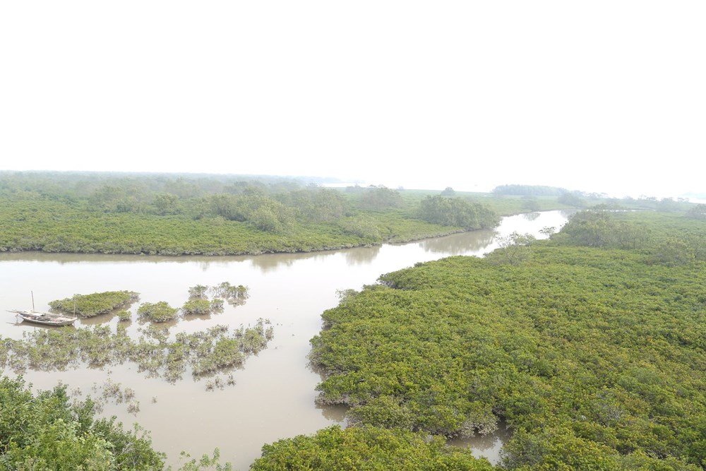 Vườn Quốc gia Xuân Thủy đón nhận danh hiệu Vườn di sản ASEAN - ảnh 4