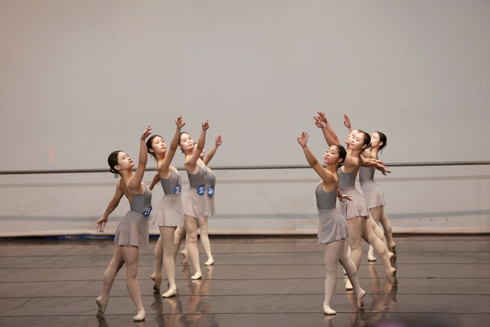 Lần đầu tiên đề xuất quy định riêng đối với trường phổ thông năng khiếu nghệ thuật - ảnh 1