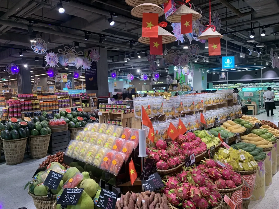 Huy động người Việt Nam ở nước ngoài giới thiệu, tiêu thụ sản phẩm, phát triển kênh phân phối hàng Việt Nam - ảnh 1